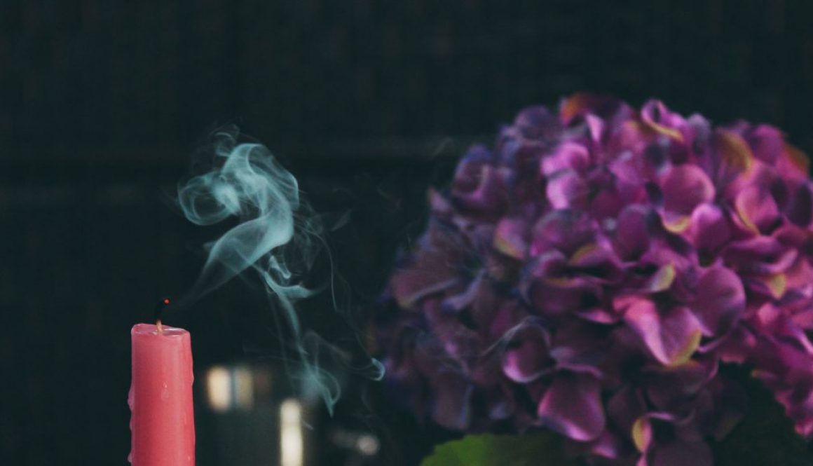 candle-blossom candle-blossom